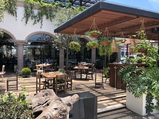 Restaurante Live Aqua